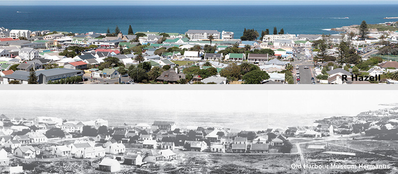 hermanus history society