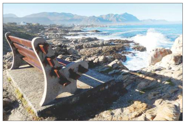 hermanus-history-society