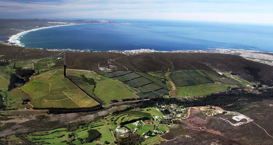 Hermanus History Society