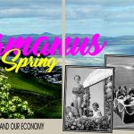 Hermanus in Spring: Wild Flowers, Whales Tourism and Our Economy